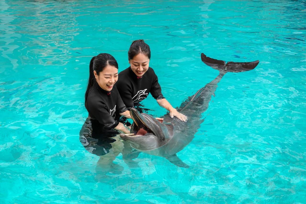 圣淘沙名胜世界- 新加坡Hard Rock酒店-SG清洁认证 外观 照片 Dolphin show at SeaWorld